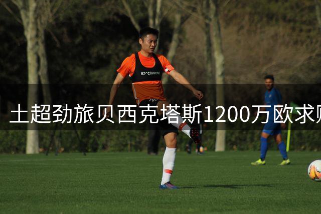 土超劲旅贝西克塔斯1200万欧求购纽卡中场大将