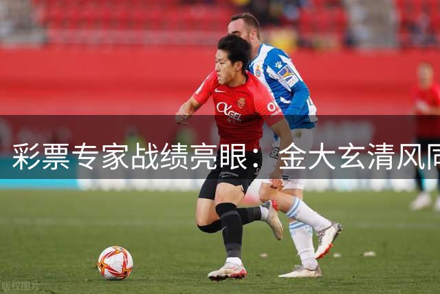 彩票专家战绩亮眼：金大玄清风同揽大乐透1149万大奖